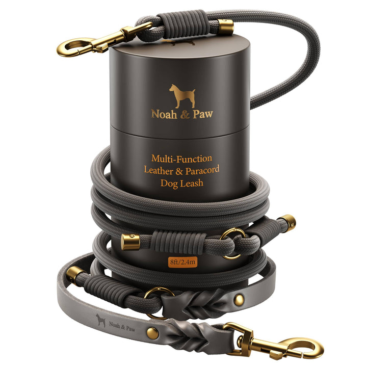 Dog Leash Oil-Waxed Leather & Paracord | Gray