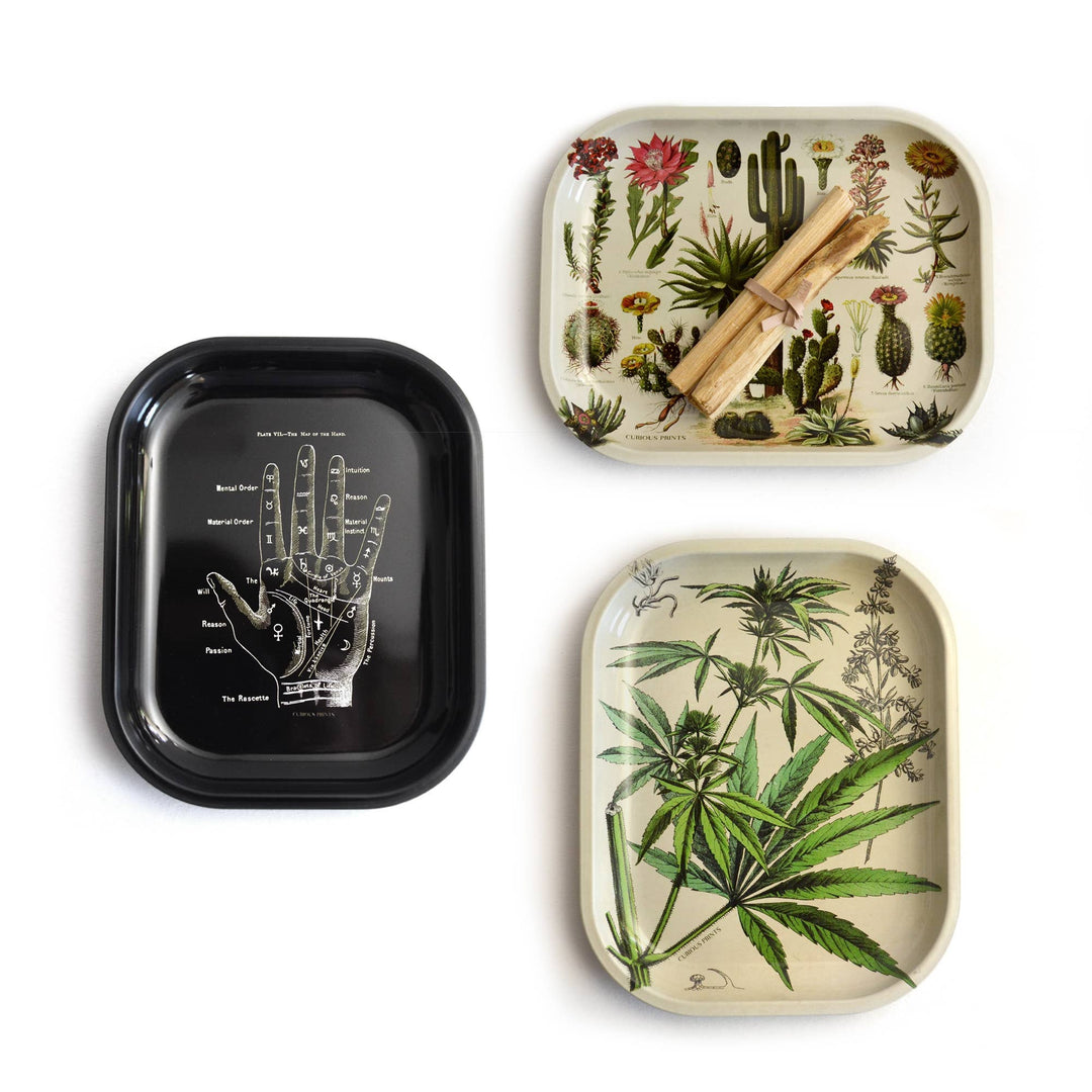 Small Metal Cactus Catchall Tray / Vintage Cacti Dish