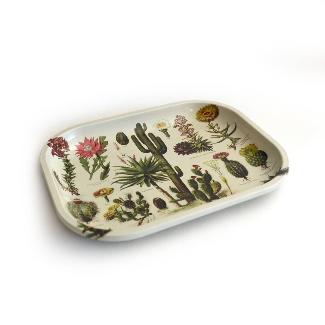 Small Metal Cactus Catchall Tray / Vintage Cacti Dish