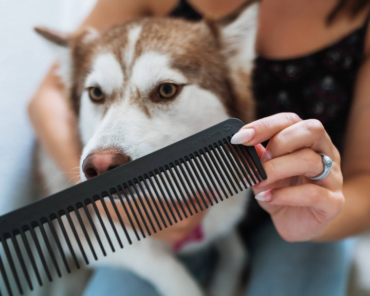 The Pet Comb