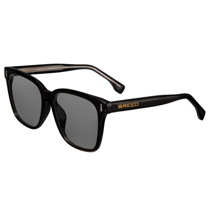 Breed Linux TR90 Polarized Wayfarer Sunglasses